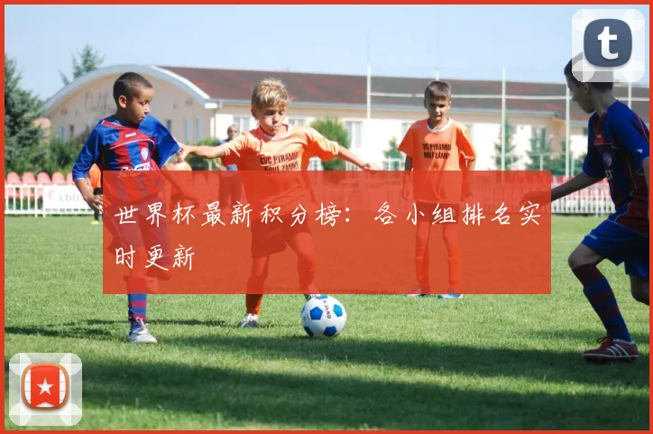 世界杯最新积分榜：各小组排名实时更新