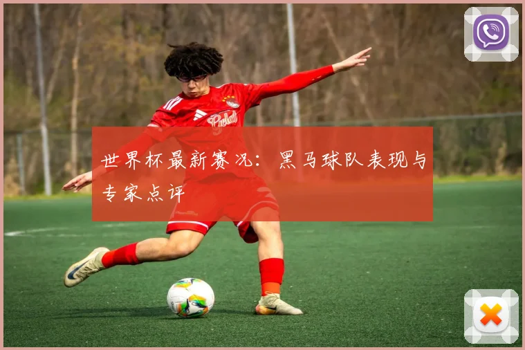 世界杯最新赛况：黑马球队表现与专家点评
