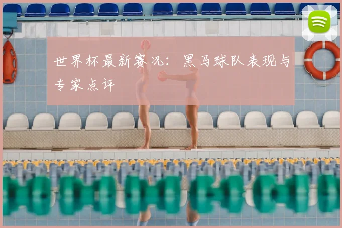 世界杯最新赛况:黑马球队表现与专家点评