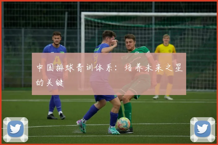 中国排球青训体系：培养未来之星的关键